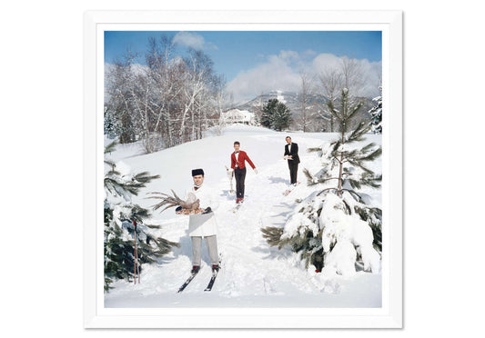 SKIING WAITERS